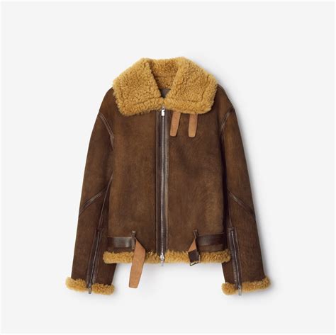 alligator jacket burberry|Shearling Aviator Jacket in Moss .